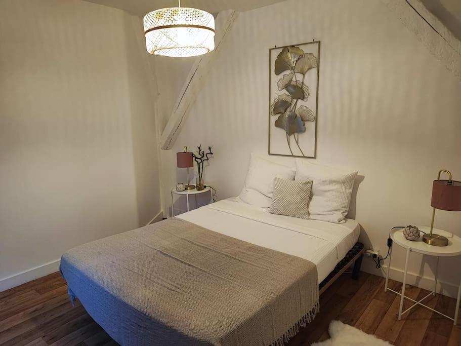 Magnifique Appartement Beaux Arts ตูร์ ภายนอก รูปภาพ