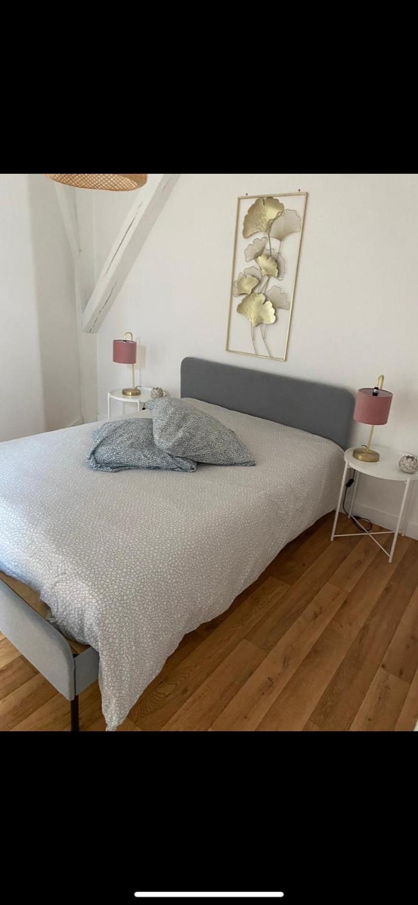Magnifique Appartement Beaux Arts ตูร์ ภายนอก รูปภาพ